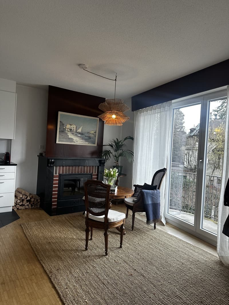 Grosszügie 1-Zimmer-Wohnung mit Kamin und Balkon in Bern (4)