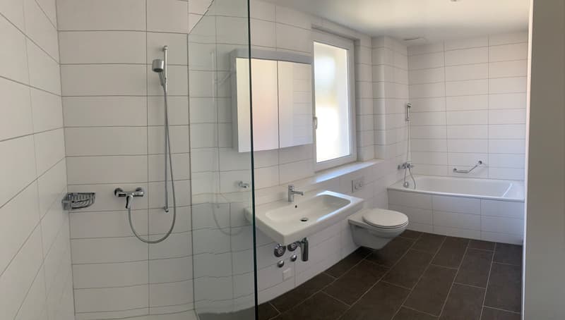 Appartement mansardé de 3.5 pièces (9)