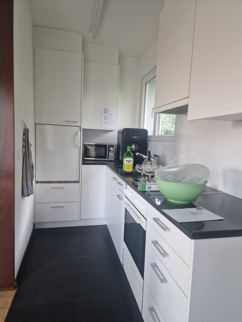 Grosszügie 1-Zimmer-Wohnung mit Kamin und Balkon in Bern (2)