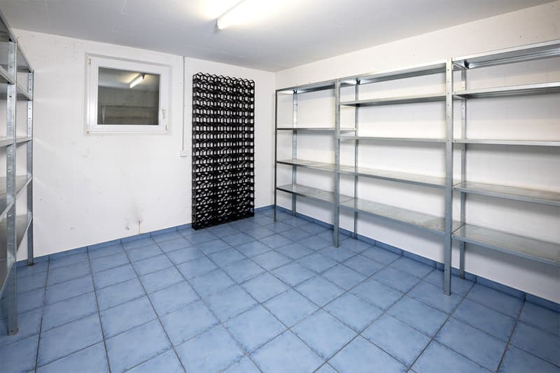 Modernes 5.5-Zimmer-Einfamilienhaus mit Pool und Traumaussicht in Wohlen (29)
