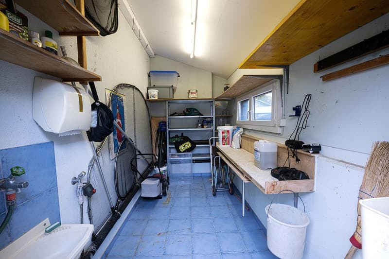 Modernes 5.5-Zimmer-Einfamilienhaus mit Pool und Traumaussicht in Wohlen (33)