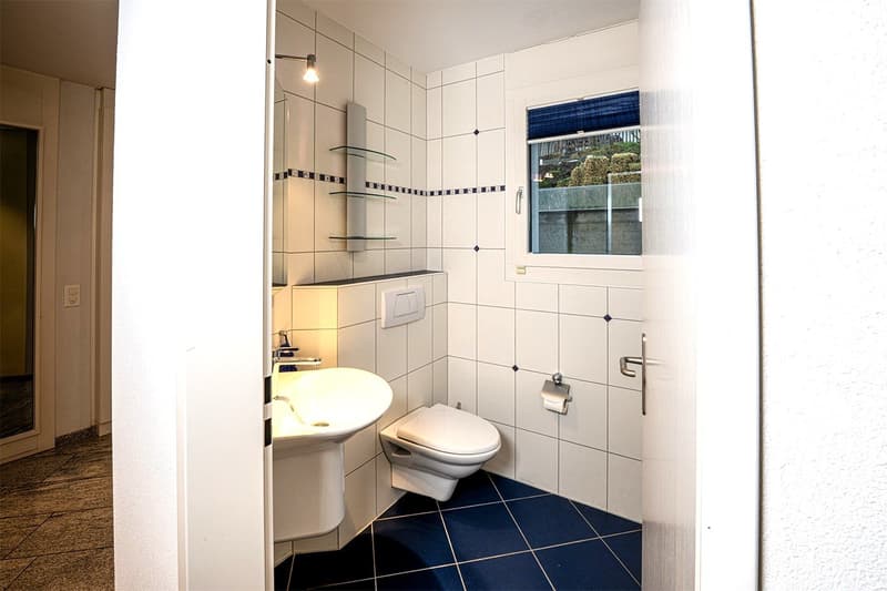 Modernes 5.5-Zimmer-Einfamilienhaus mit Pool und Traumaussicht in Wohlen (23)