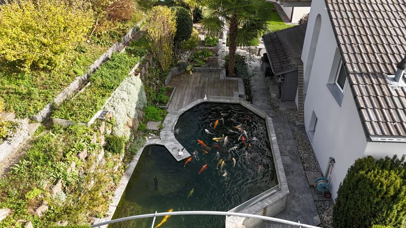 Modernes 5.5-Zimmer-Einfamilienhaus mit Pool und Traumaussicht in Wohlen (6)