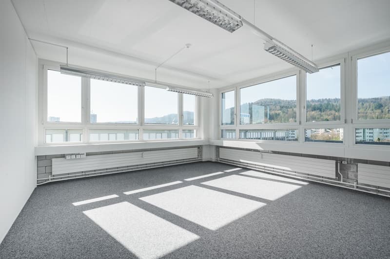 Arbeiten am See ! Gewerbeflächen 1-10 Zimmer ausbaubar (9)