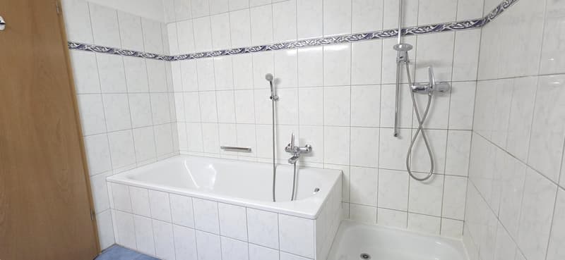 Gepflegte 5.5-Zimmer-Wohnung mit Balkon und schöner Aussicht in Zurzach-Böbikon (10)