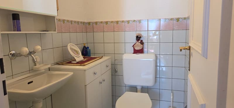 Charmante 5.5-Zimmer-Wohnung im 1. OG in Hunzenschwil (13)