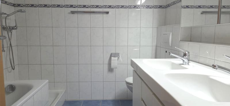 5.5-Zimmer-Wohnung unter CHF 600 000 in Zurzach-Böbikon !! (11)