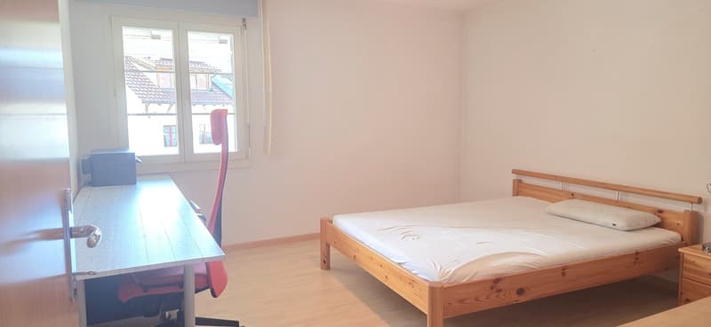 5.5-Zimmer-Wohnung unter CHF 600 000 in Zurzach-Böbikon !! (7)