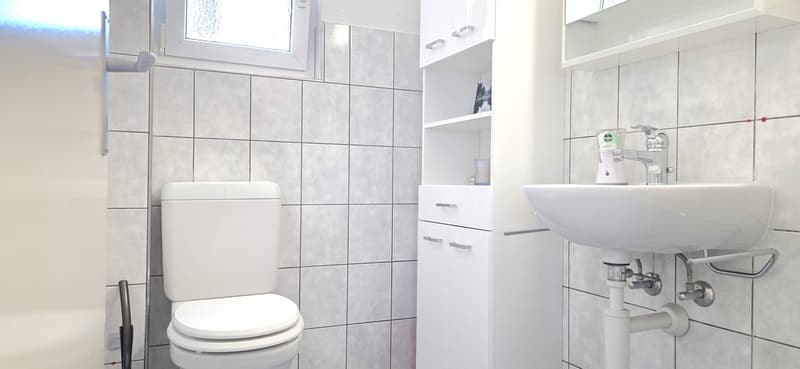 gepflegtes Einfamilienhaus mit grossem Garten in Holziken (15)