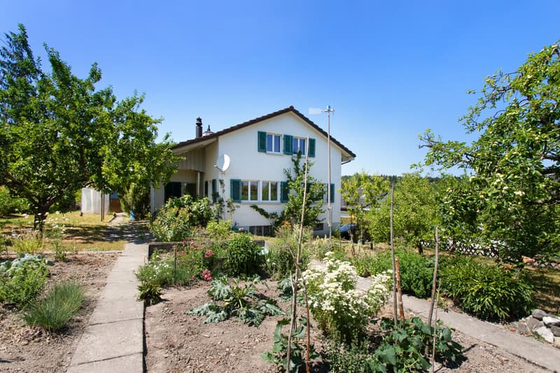 Gepflegte Liegenschaft mit wunderschönem Garten