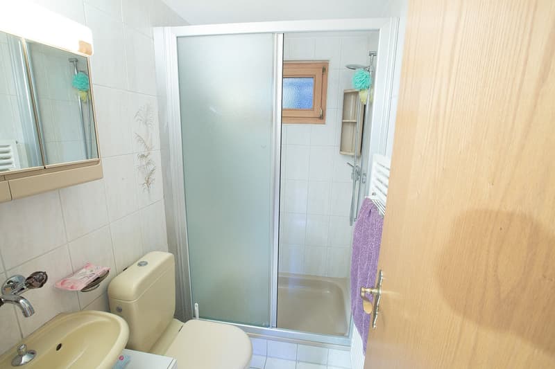 Bathroom with toilet, shower, sink, mirror, and towel rack