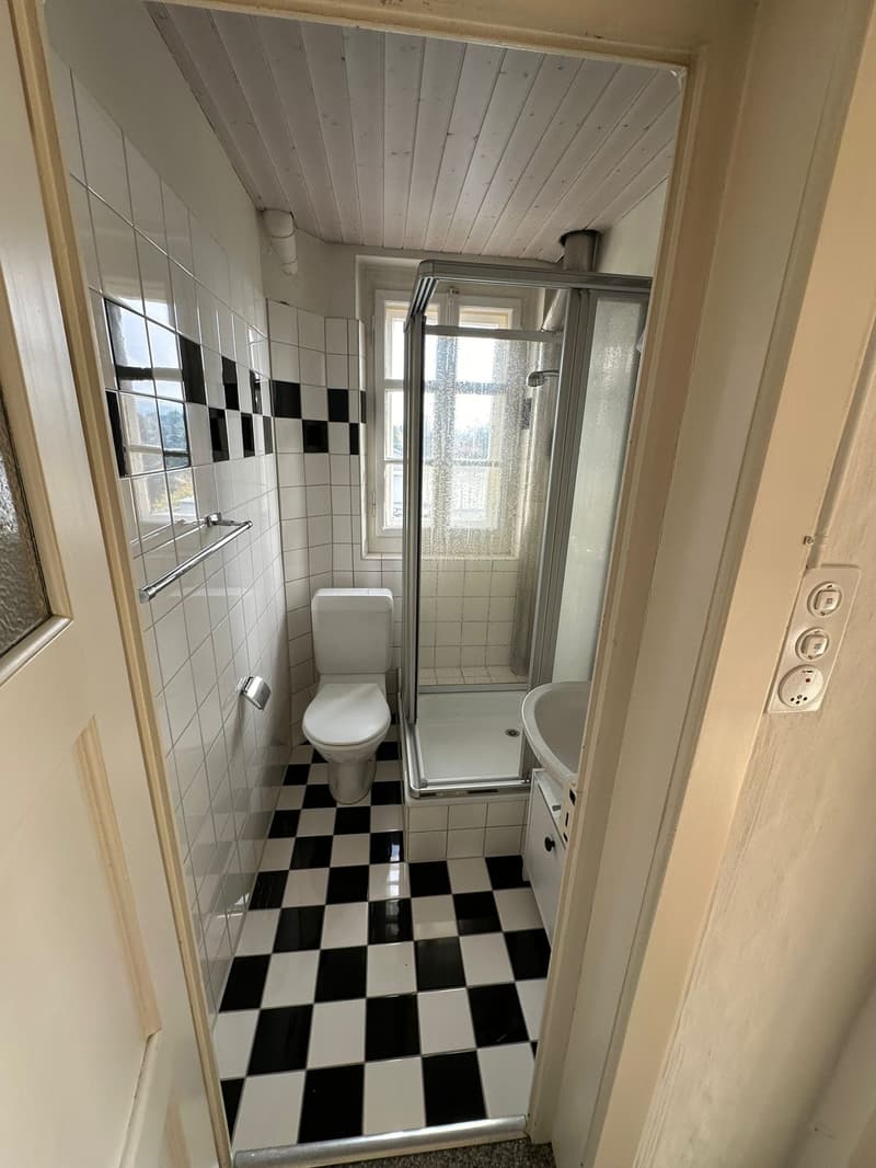 Charmante Wohnung in Lengnau (6)