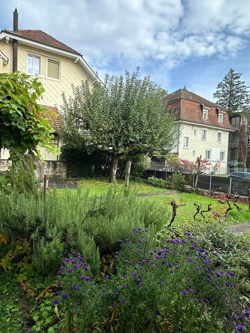 Charmante Wohnung in Lengnau (7)