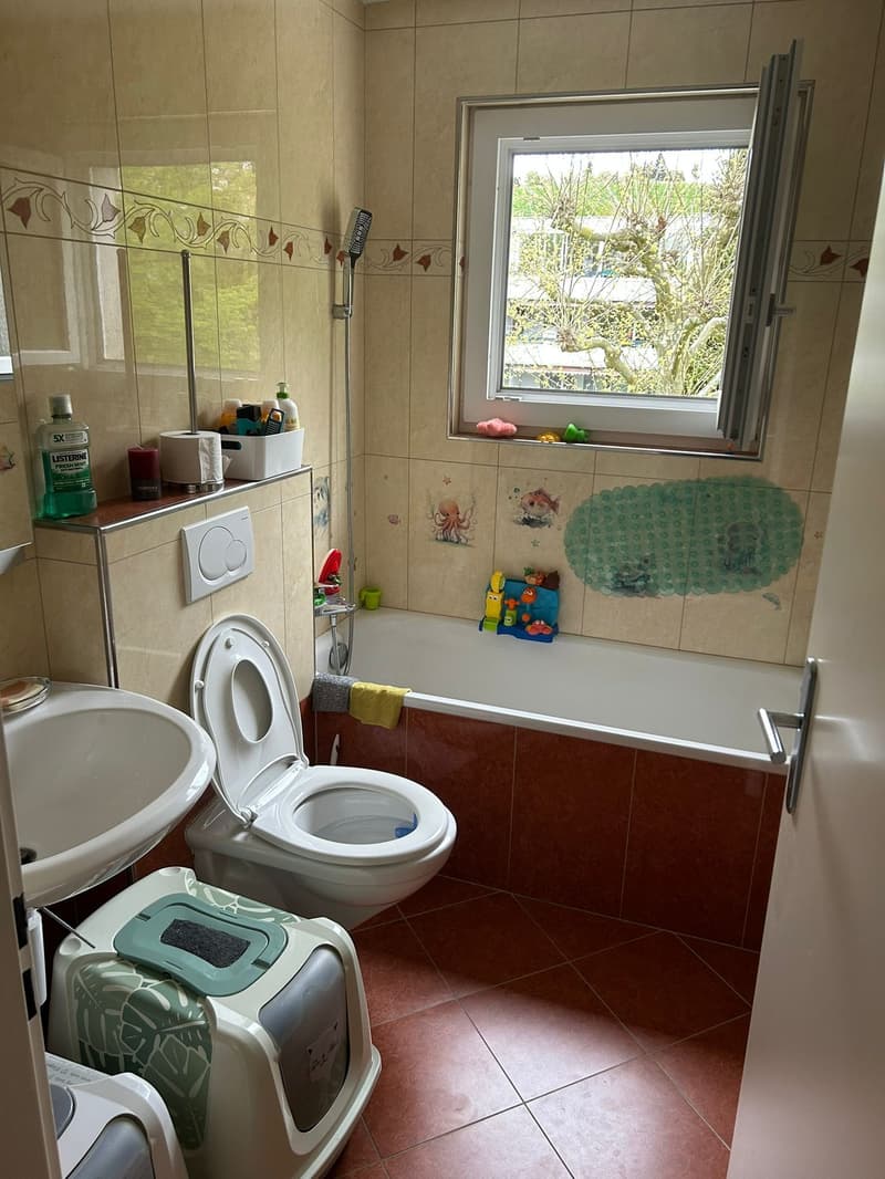 Charmante 4.5-Zimmer-Wohnung in Studen BE – sofort verfügbar! (8)