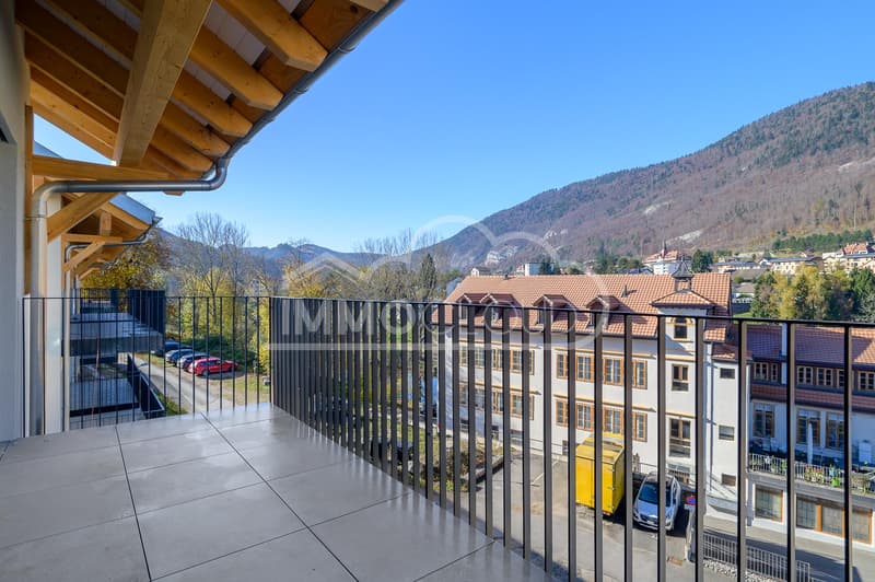 Espace et lumière pour cet appartement en duplex ! (7)