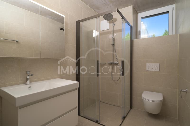 Grand, lumineux, bien pensé (11)