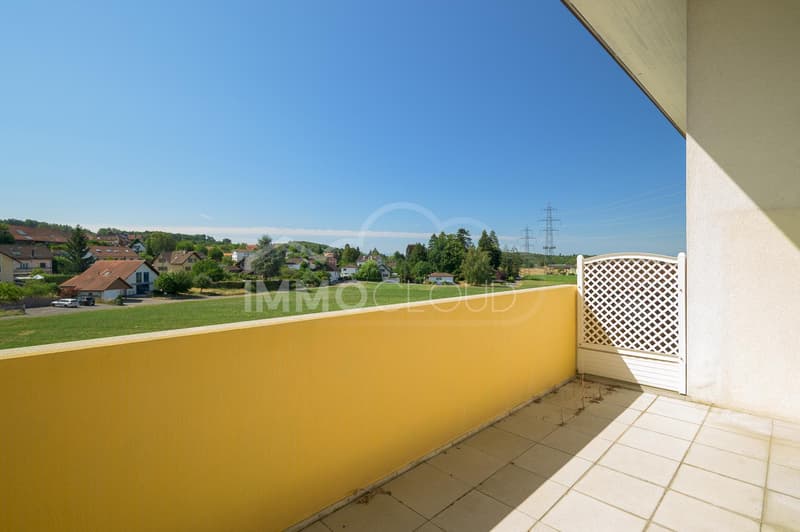 Appartement lumineux au dernier étage ! (3)