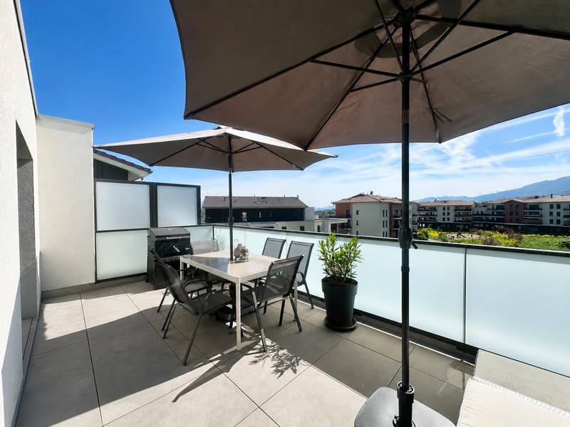 Grand appartement familial ? Cessy, proche frontière (1)