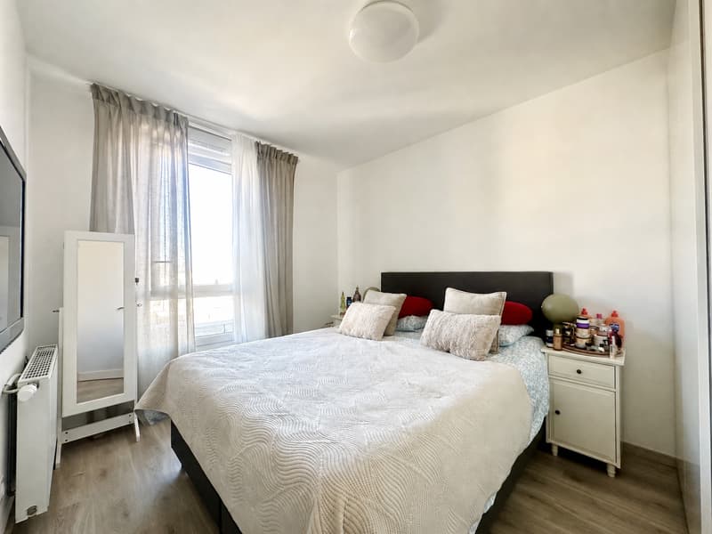 Grand appartement familial ? Cessy, proche frontière (6)