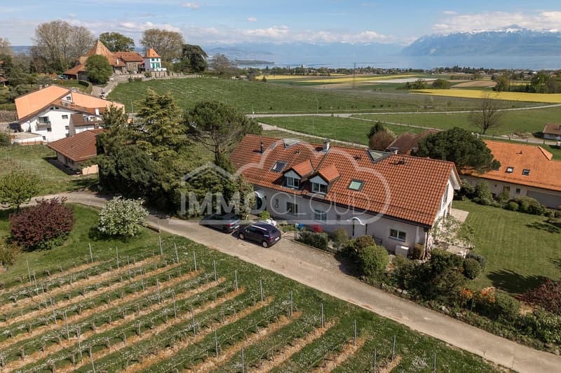 CHF 2'000.- offert sur les frais d'achat ! (2)