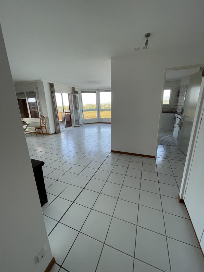Spacieux appartement de 5,5 pièces (5)