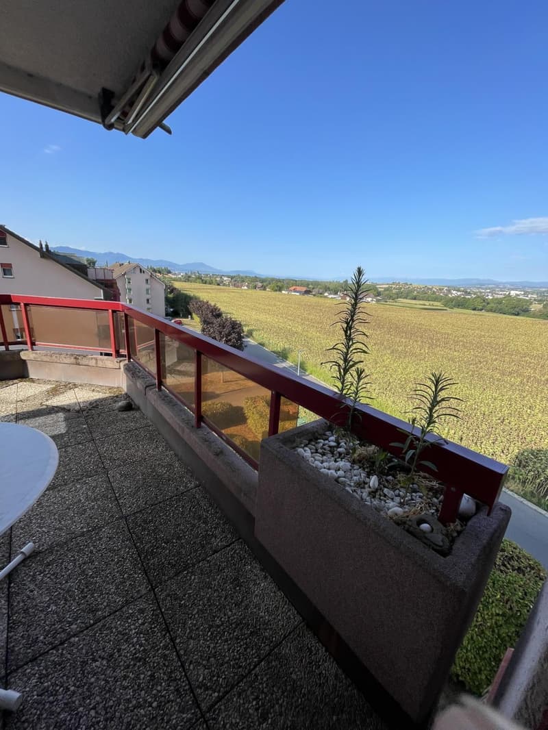 Spacieux appartement de 5,5 pièces (2)