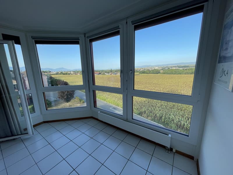Spacieux appartement de 5,5 pièces (3)