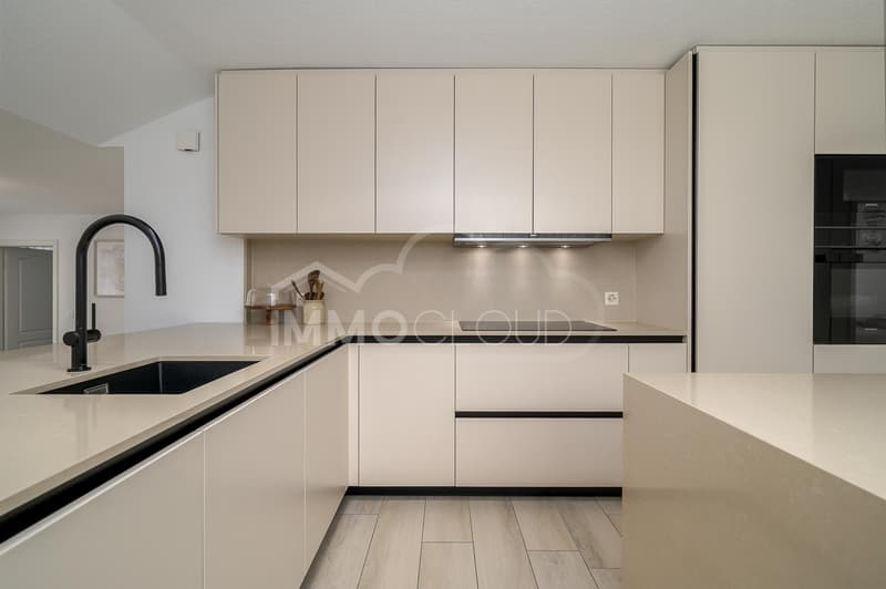 Duplex avec terrasse (2)