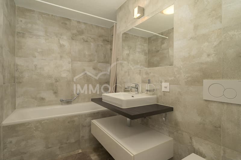 Duplex avec terrasse (12)