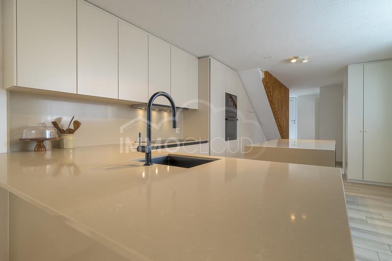 Duplex avec terrasse (9)