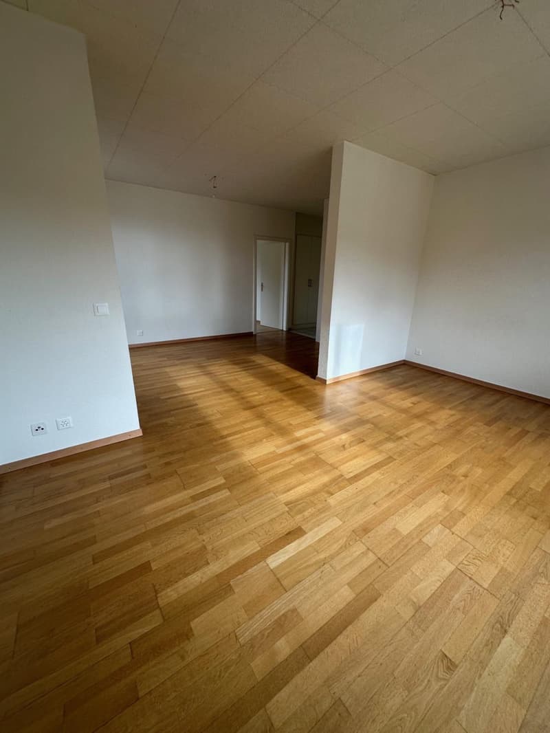 3,5 pièces au dernier étage ! (8)