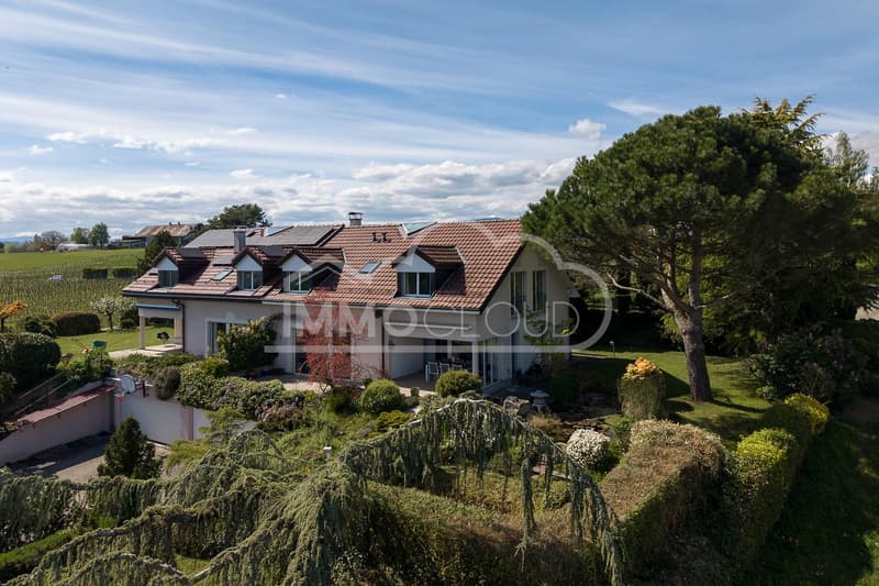 CHF 2'000.- offert sur les frais d'achat ! (2)