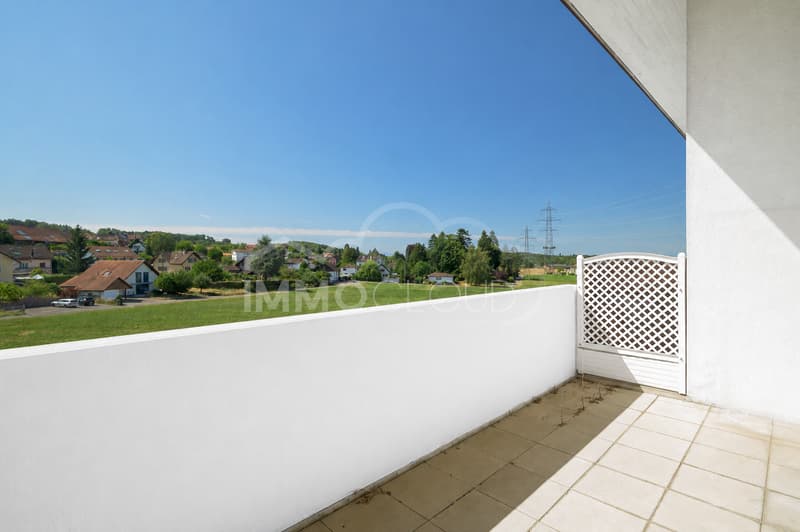 Appartement lumineux au dernier étage ! (2)