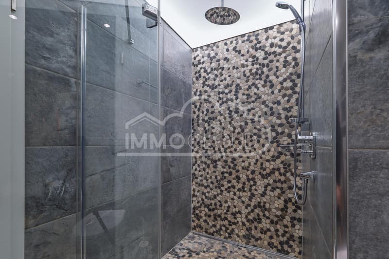 Le standing avec vue lac ! OFFERT SUR VOS FRAIS DE NOTAIRE CHF 1'000.- ! (9)