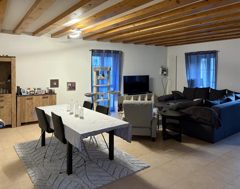 Duplex de 163 m2 ! (1)