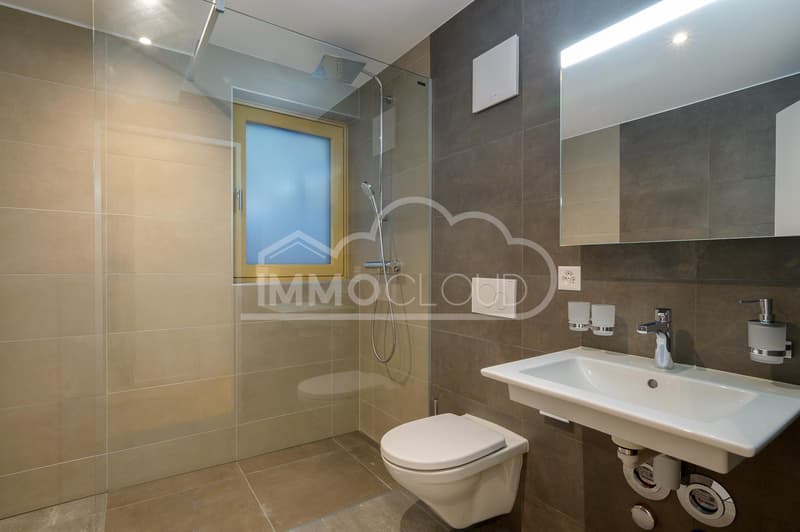 Duplex neuf avec terrasses (12)