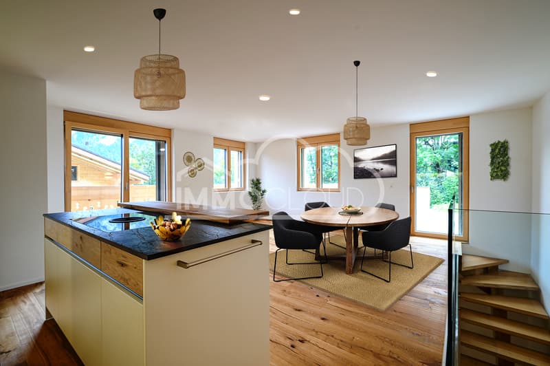 Duplex neuf avec terrasses (3)