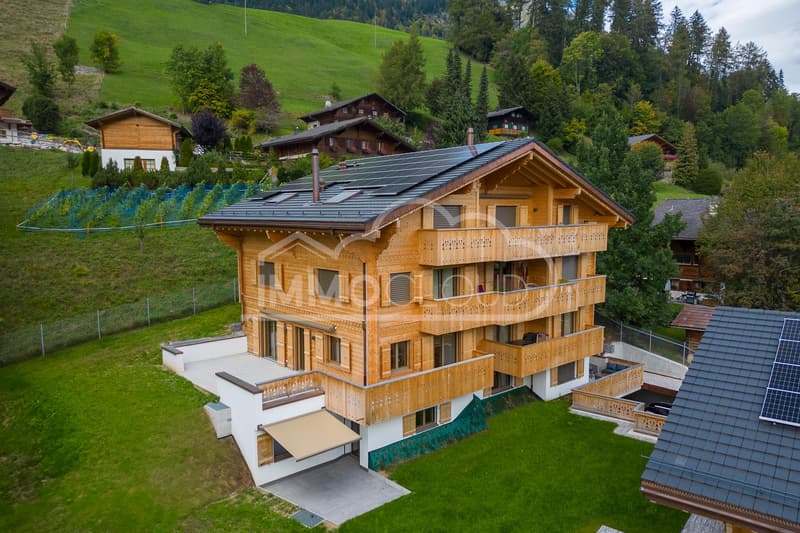 Duplex neuf avec terrasses (2)