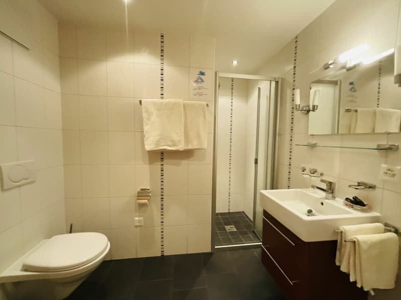 Superbe appartement de 3.5 pièces à Champex-Lac (15)