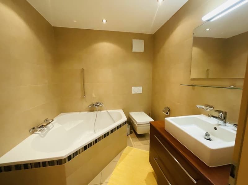 Superbe appartement de 3.5 pièces à Champex-Lac (17)