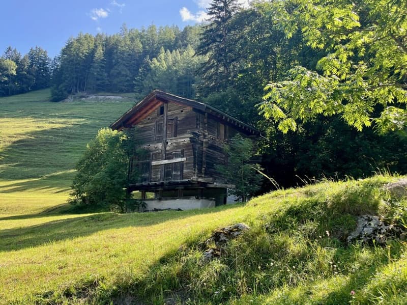 Terrain à bâtir sur la commune d'Orsières (3)