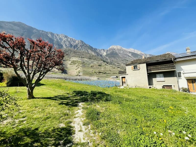 Superbe mazot rénové de 5.5 pièces sur la Commune de Fully (3)