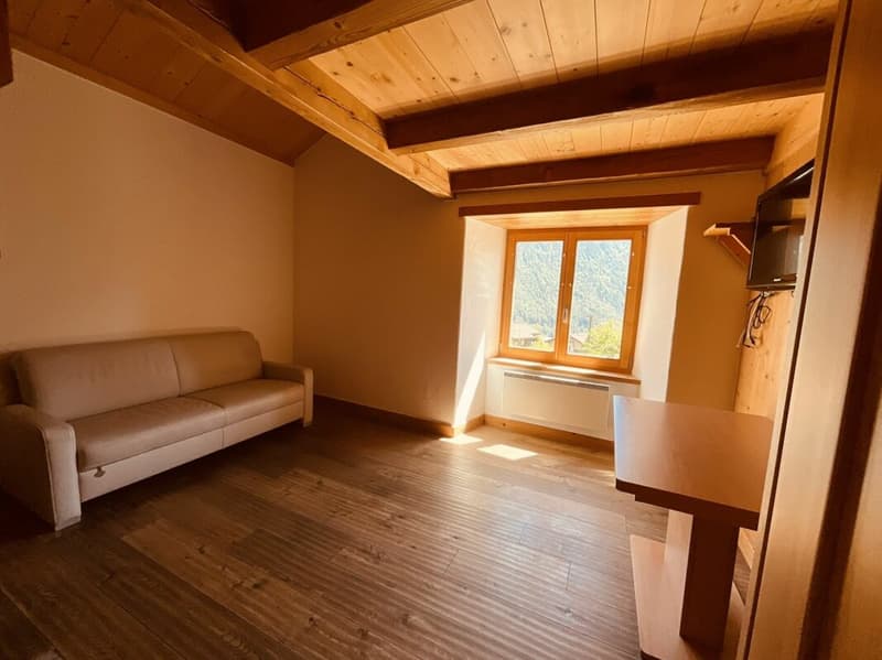 Appartement et terrain à vendre dans le village de Vollèges (8)
