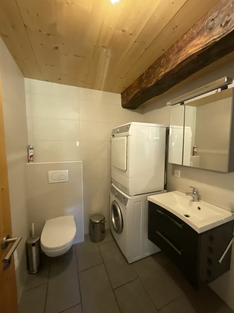 Appartement et terrain à vendre dans le village de Vollèges (18)