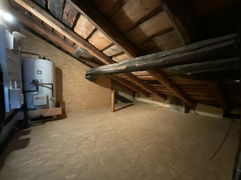 Appartement et terrain à vendre dans le village de Vollèges (20)