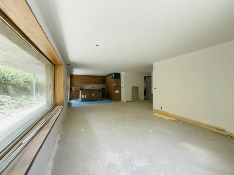 Appartement avec terrasse et jardin en cours de construction (4)