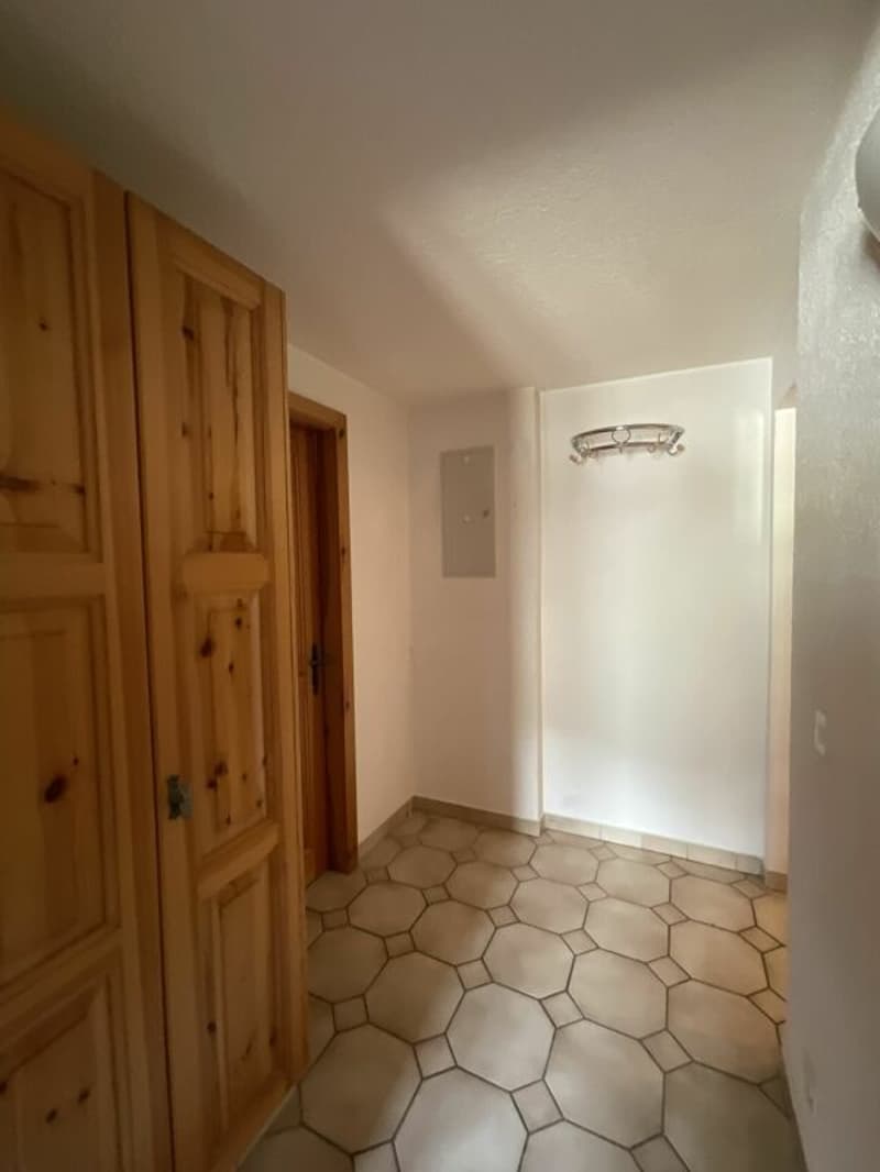 Appartement de 2.5 pièces à vendre dans le village de Liddes (18)