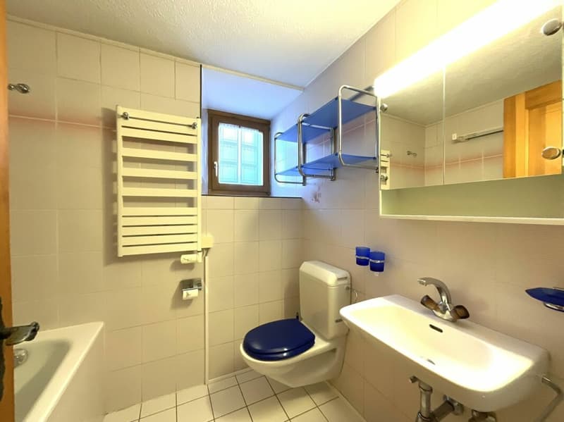 Appartement de 2.5 pièces à vendre dans le village de Liddes (15)