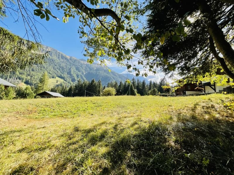 Terrain à bâtir sur la commune d'Orsières (3)