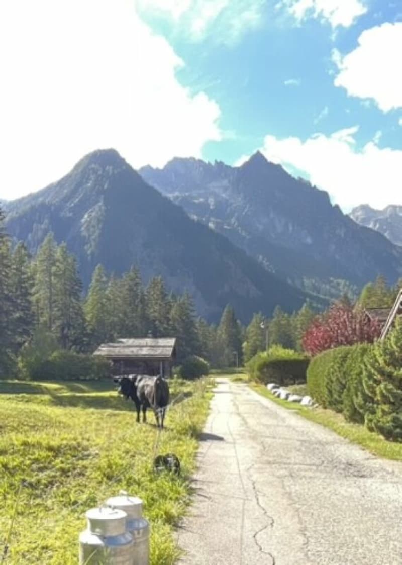 Terrain à bâtir sur la commune d'Orsières (5)